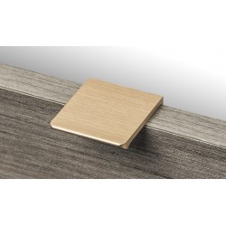 Cabinet Handle (L806-40BG)